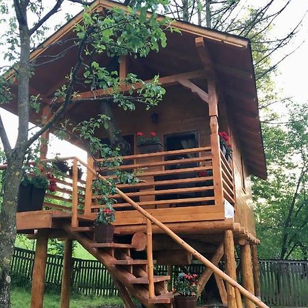 Domeniul Horj Casa Din Cires Moisei别墅 外观 照片