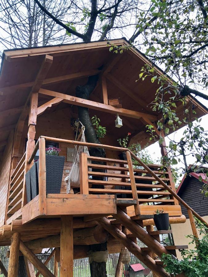 Domeniul Horj Casa Din Cires Moisei别墅 外观 照片