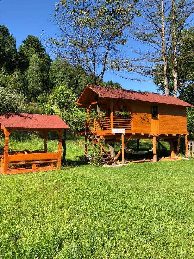 Domeniul Horj Casa Din Cires Moisei别墅 外观 照片