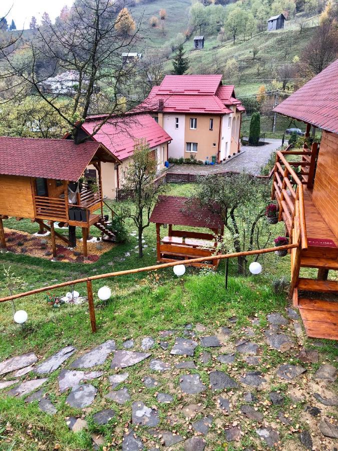 Domeniul Horj Casa Din Cires Moisei别墅 外观 照片