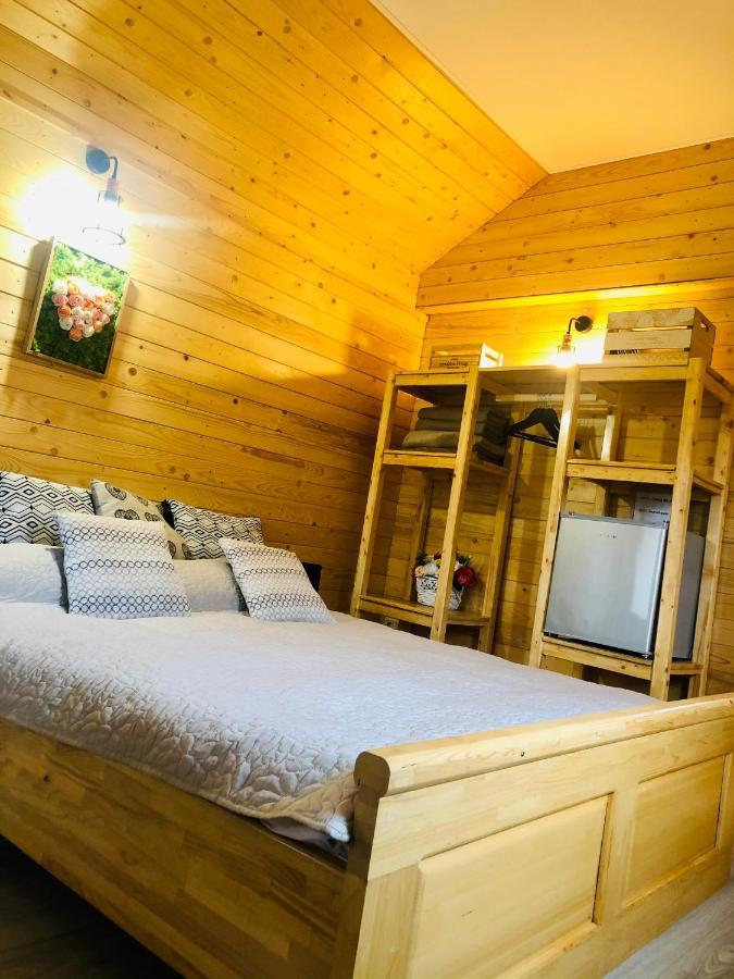 Domeniul Horj Casa Din Cires Moisei别墅 外观 照片