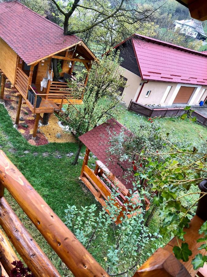 Domeniul Horj Casa Din Cires Moisei别墅 外观 照片