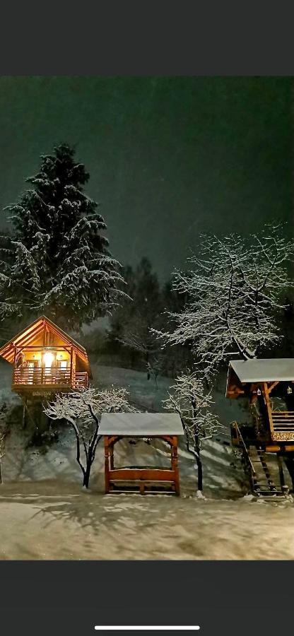 Domeniul Horj Casa Din Cires Moisei别墅 外观 照片