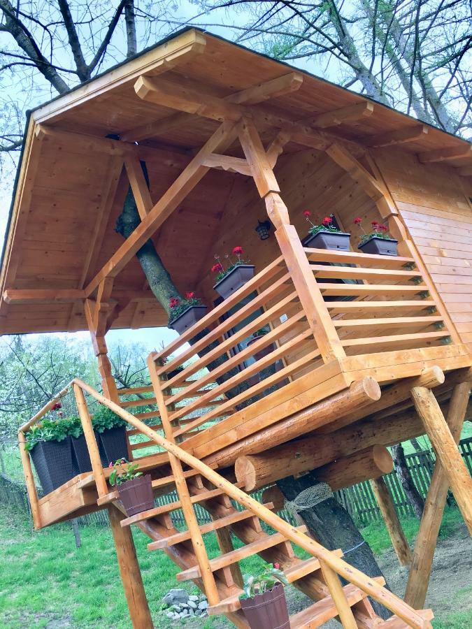 Domeniul Horj Casa Din Cires Moisei别墅 外观 照片