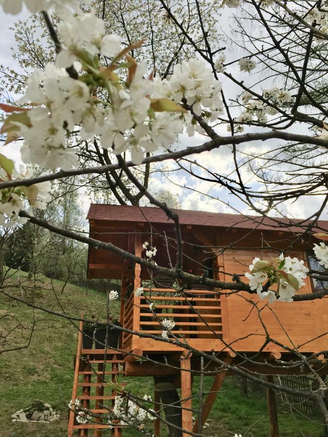 Domeniul Horj Casa Din Cires Moisei别墅 外观 照片
