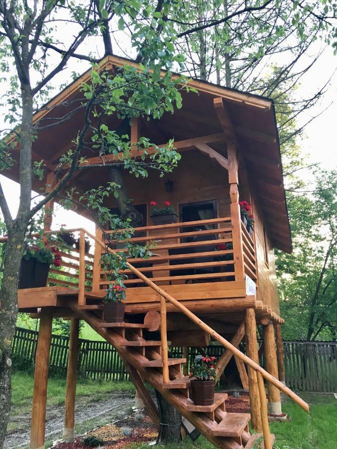 Domeniul Horj Casa Din Cires Moisei别墅 外观 照片